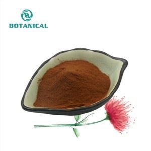 Rhodiola rosea extrakt prášku