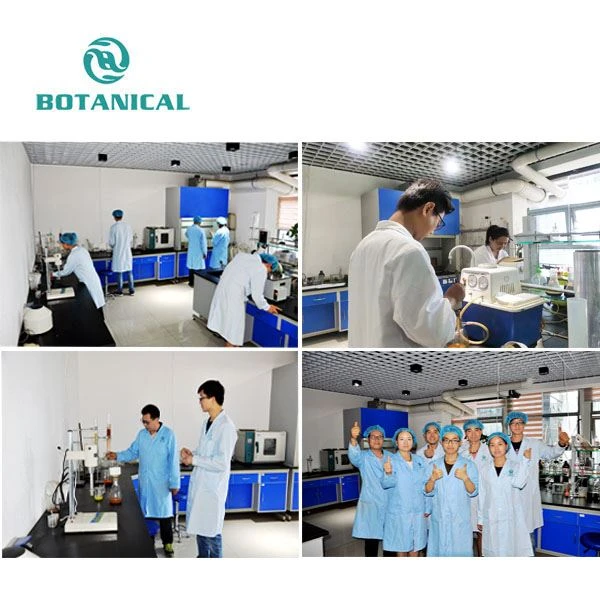 Synthetic Camphor Powder