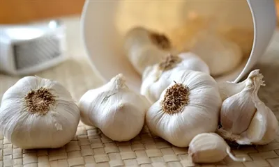 Ako extrahovať alicín z cesnaku?