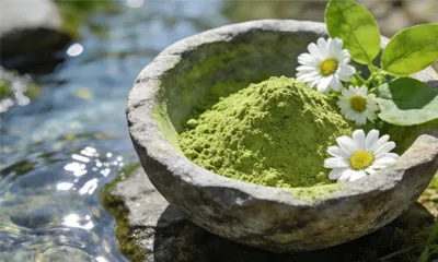 Aké sú environmentálne výhody organického matcha prášku?